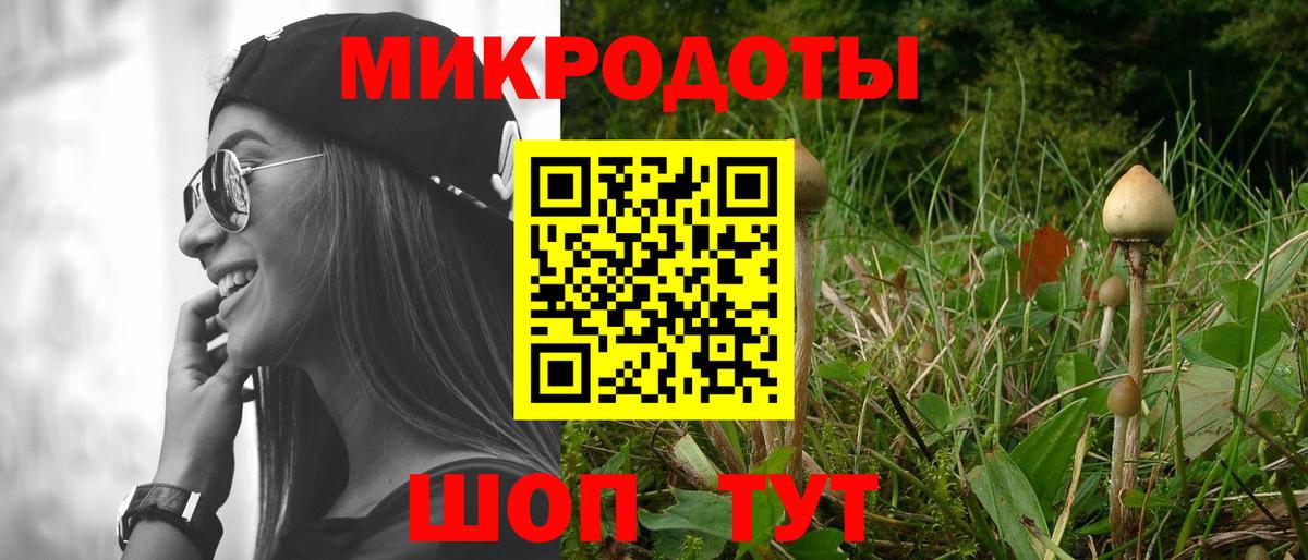 Галлюциногенные грибы MAGIC MUSHROOMS  Вход с VPN  сколько стоит  Миллерово 