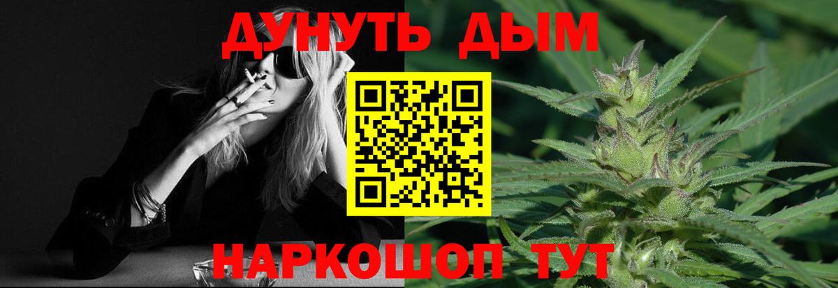 Бошки Шишки SATIVA & INDICA  Вход с VPN  Канабис планчик  Миллерово  Канабис семена 